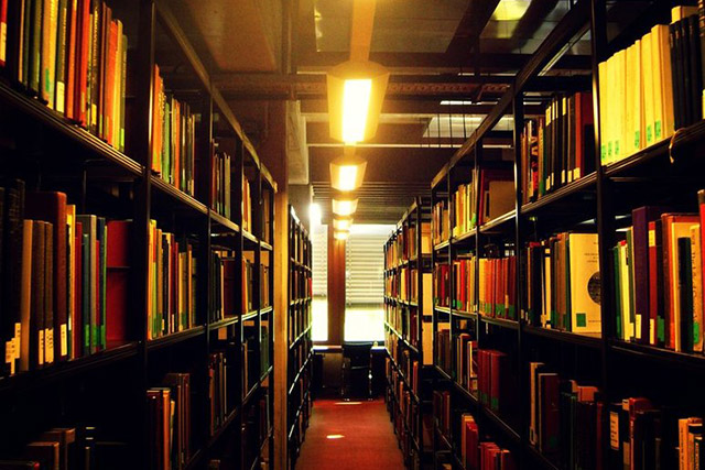 polska biblioteka w peterborough